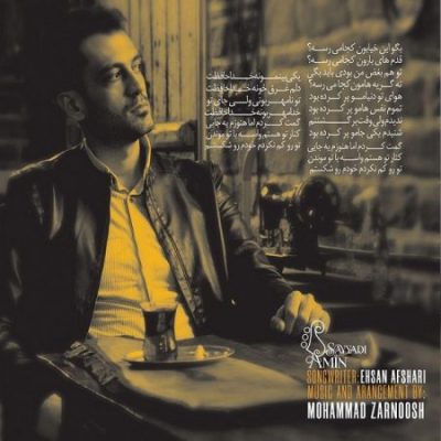 امین صیادی گمت کردم